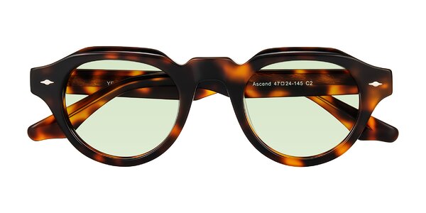 Front of Ascend in Tortoise