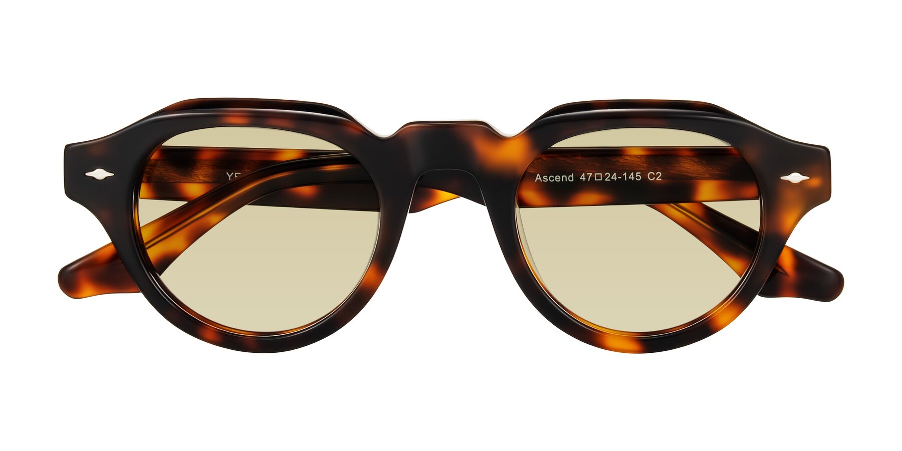 Folded Front of Ascend in Tortoise with Light Champagne Tinted Lenses