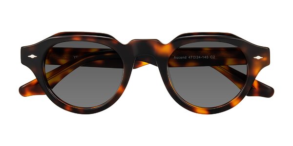 Front of Ascend in Tortoise