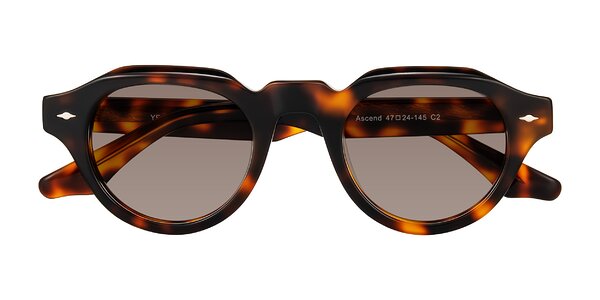 Front of Ascend in Tortoise