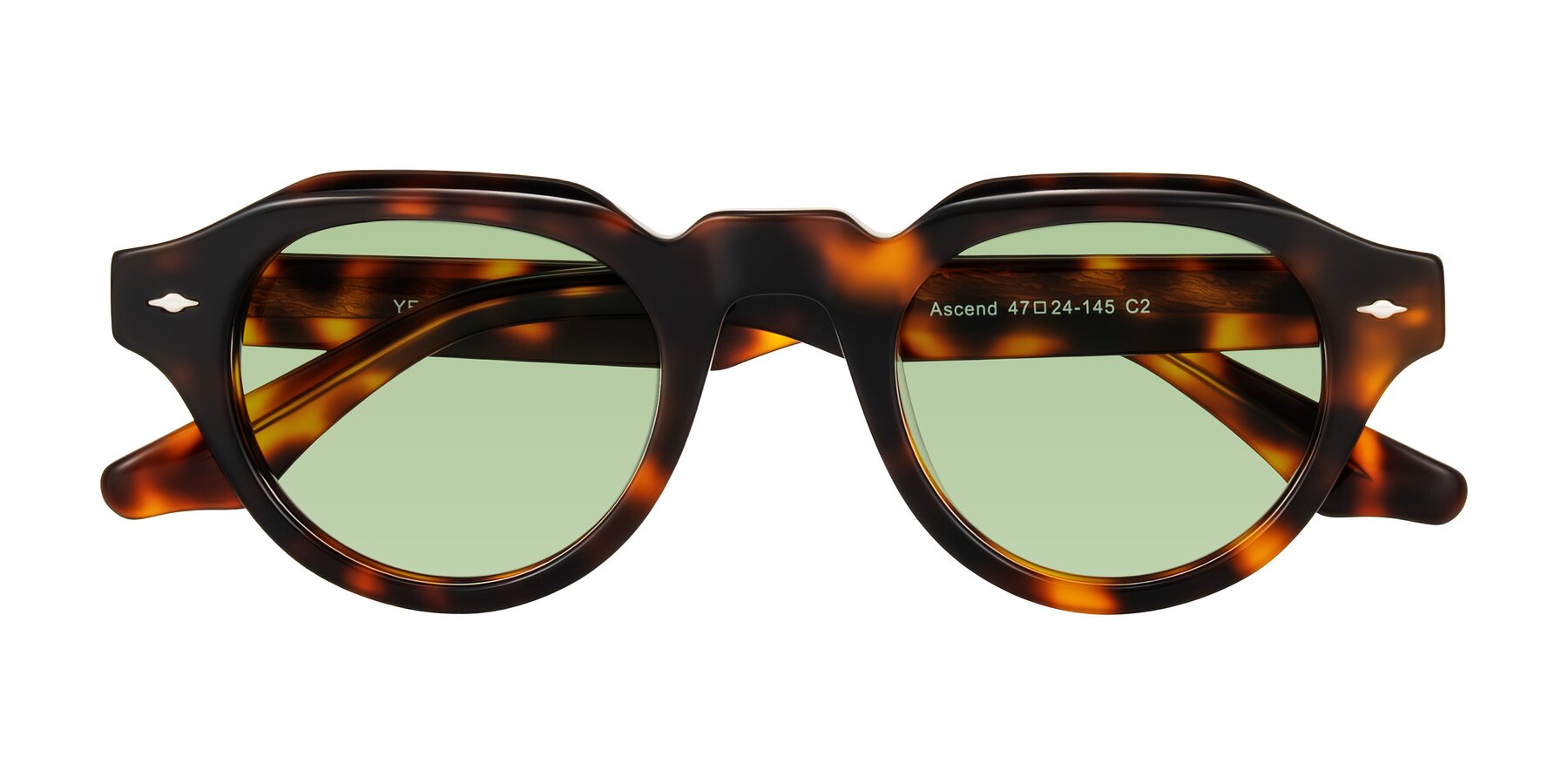 Folded Front of Ascend in Tortoise with Medium Green Tinted Lenses
