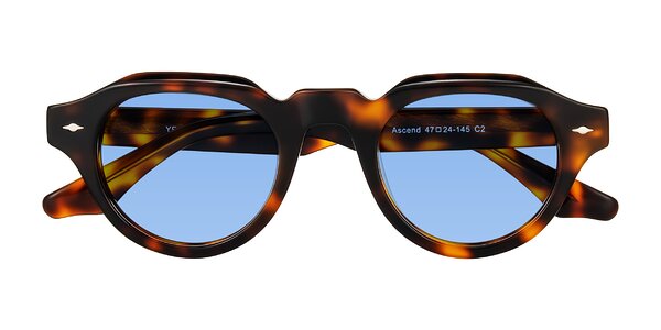 Front of Ascend in Tortoise
