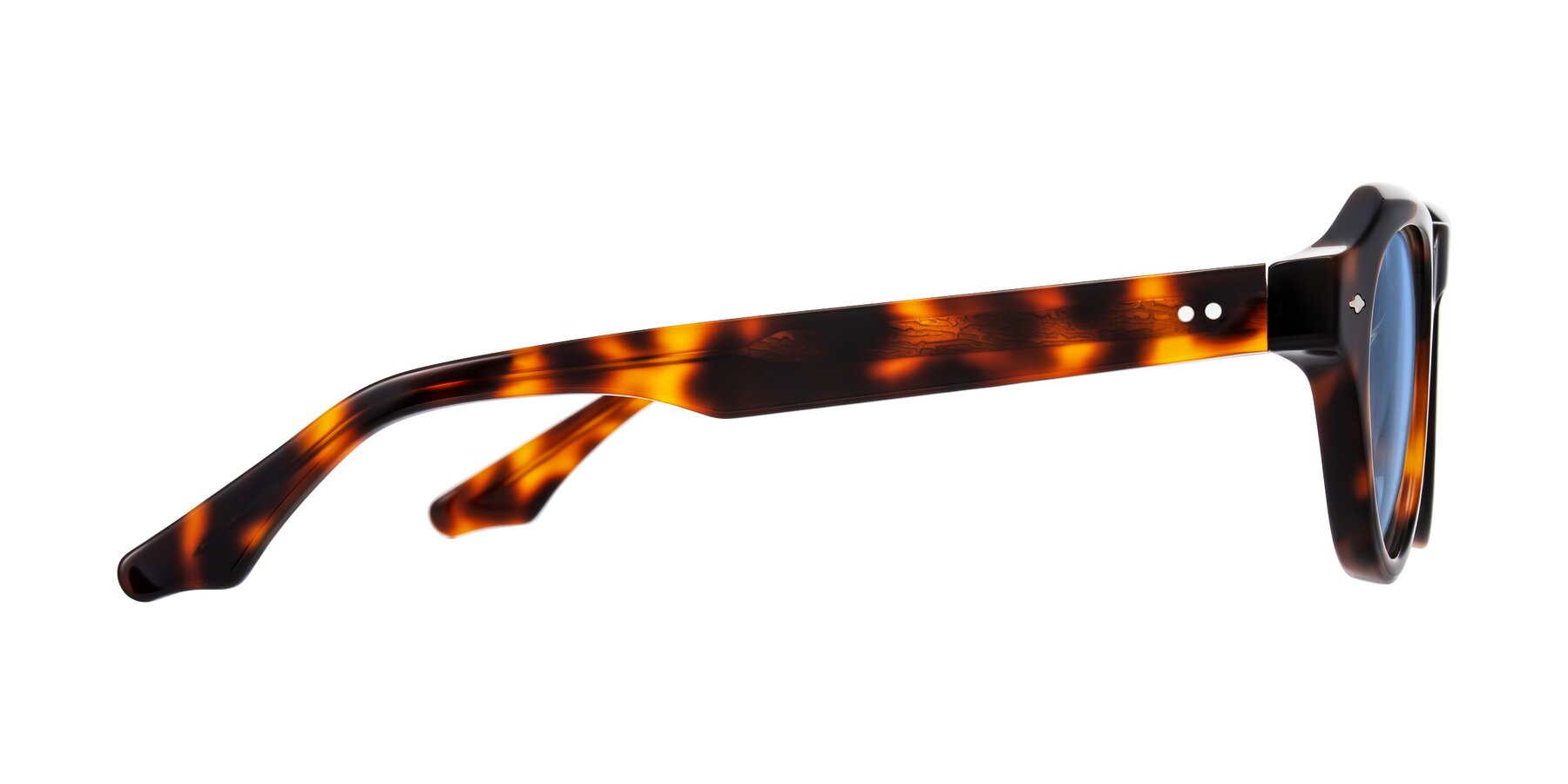 Side of Ascend in Tortoise with Medium Blue Tinted Lenses