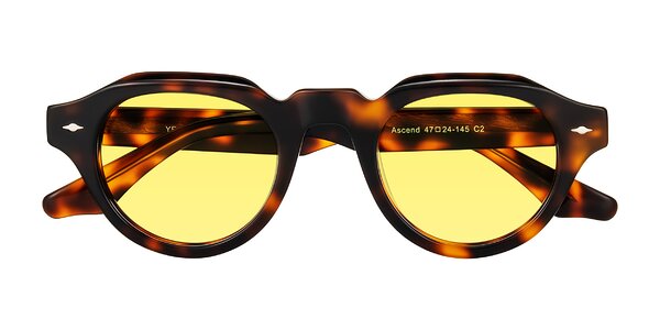 Front of Ascend in Tortoise