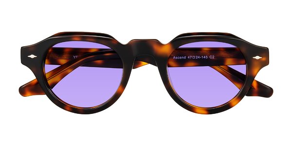 Front of Ascend in Tortoise