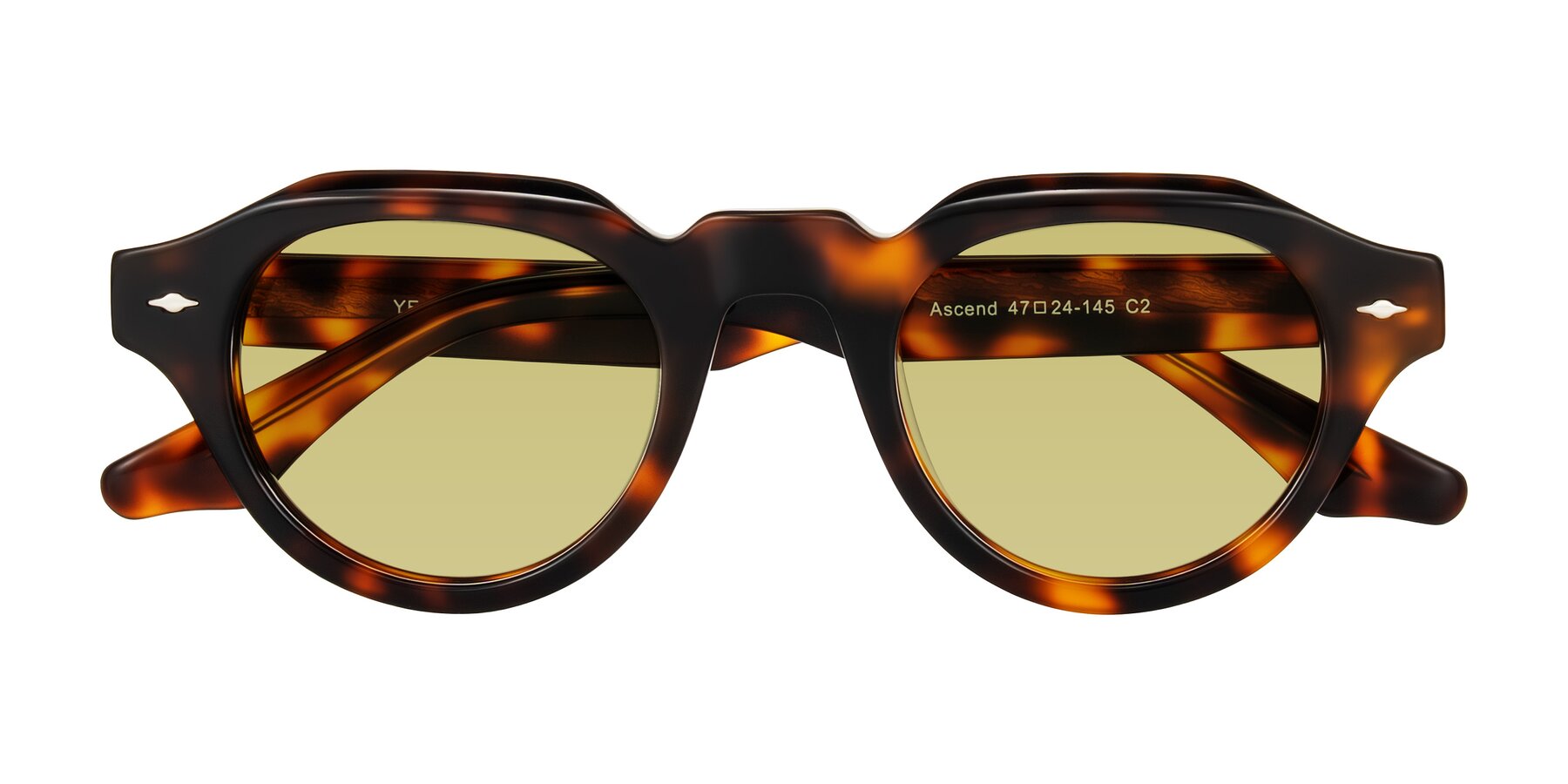 Folded Front of Ascend in Tortoise with Medium Champagne Tinted Lenses