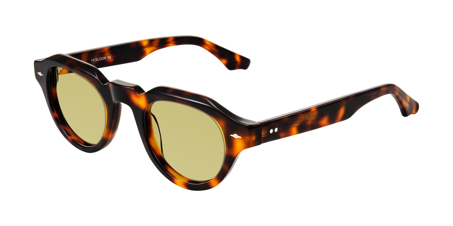 Angle of Ascend in Tortoise with Medium Champagne Tinted Lenses