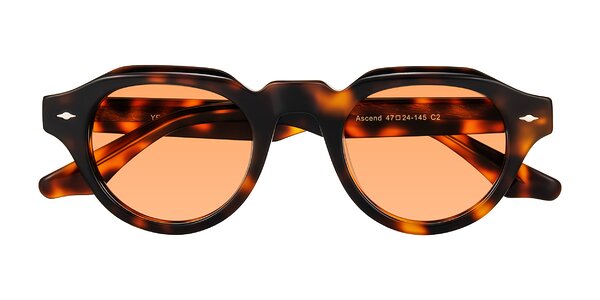 Front of Ascend in Tortoise
