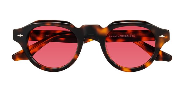 Front of Ascend in Tortoise