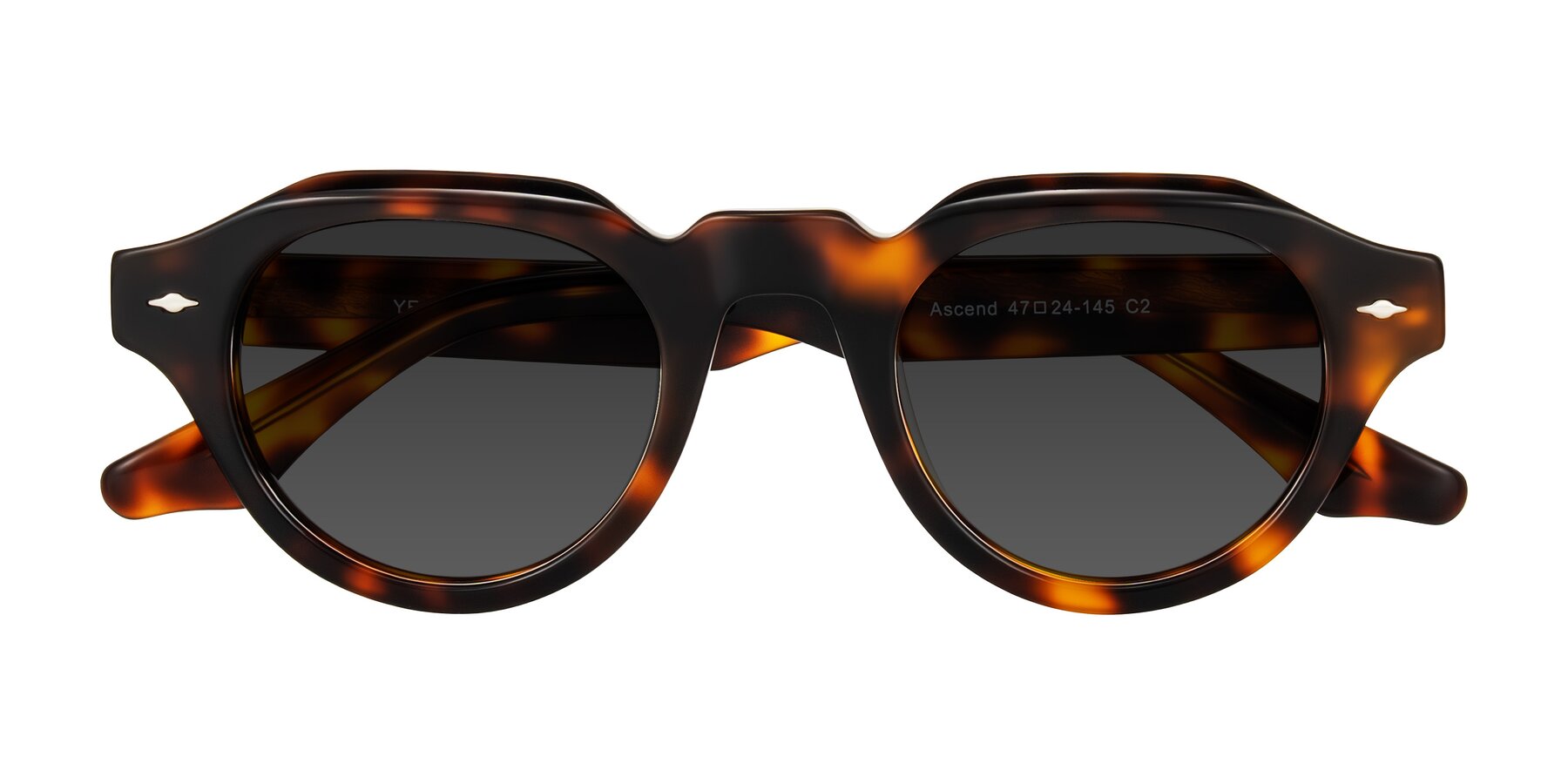 Folded Front of Ascend in Tortoise with Gray Tinted Lenses