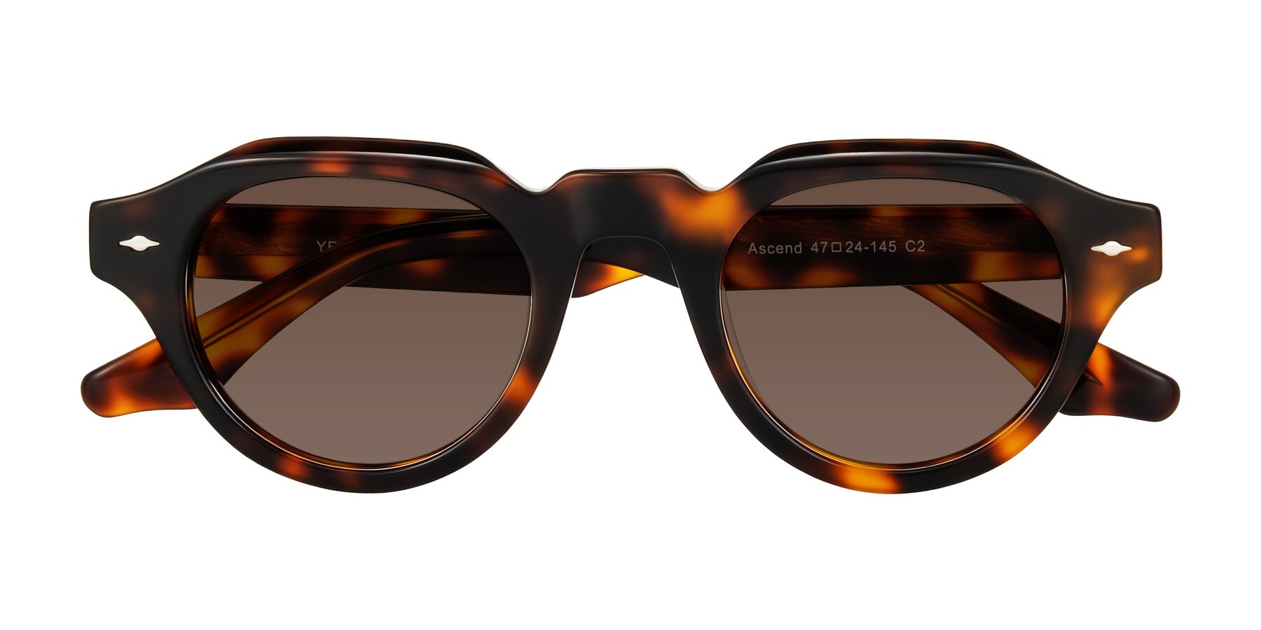 Folded Front of Ascend in Tortoise with Brown Tinted Lenses