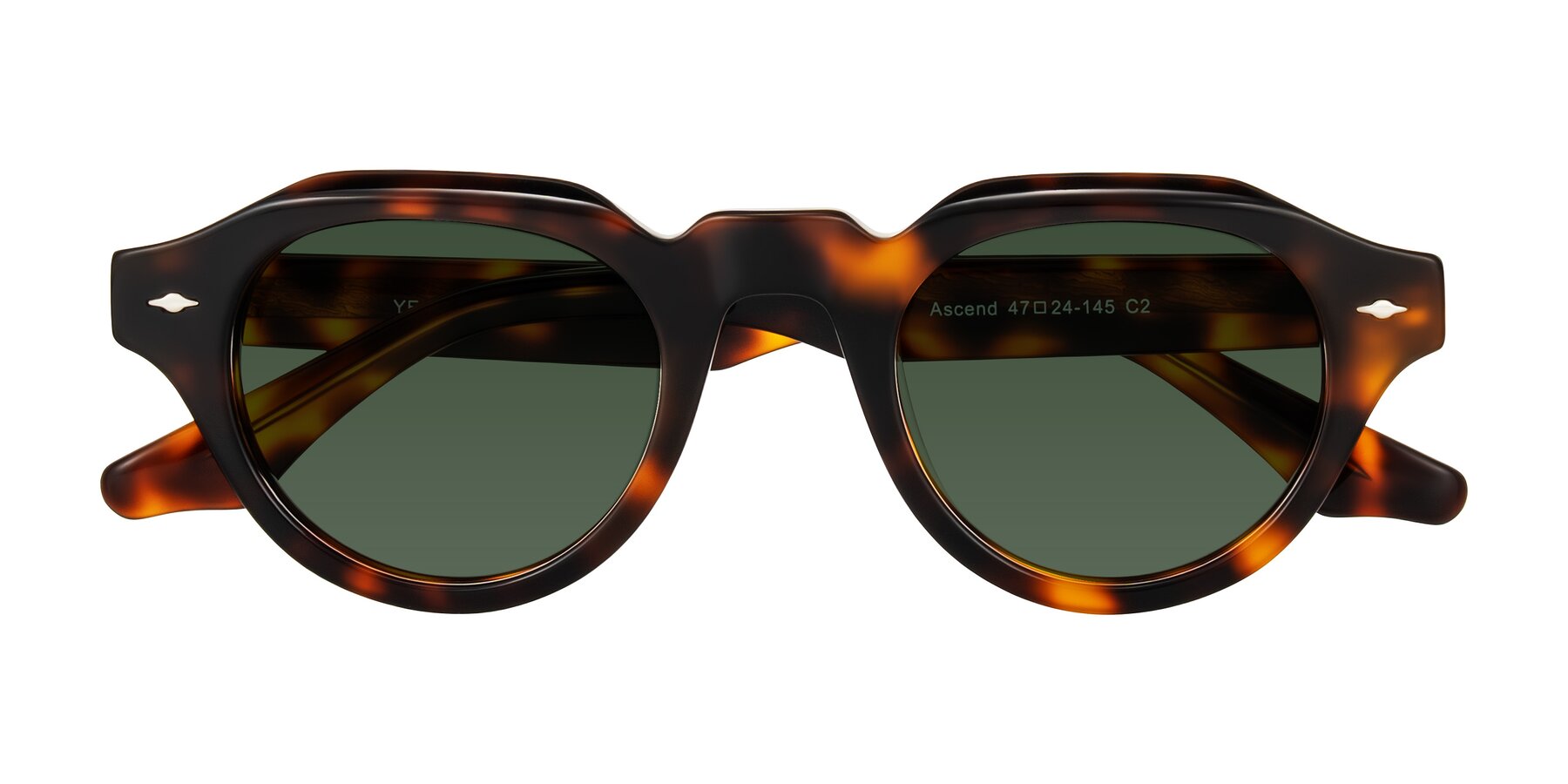 Folded Front of Ascend in Tortoise with Green Tinted Lenses
