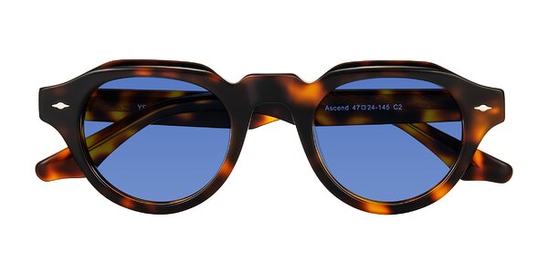 Front of Ascend in Tortoise