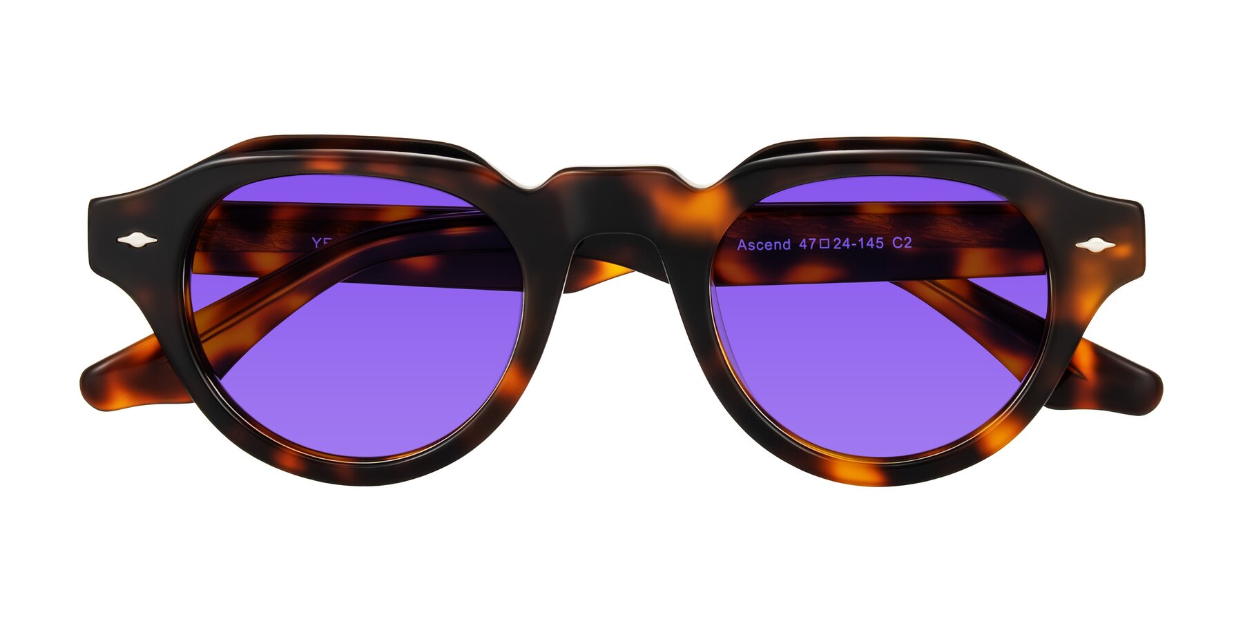Folded Front of Ascend in Tortoise with Purple Tinted Lenses