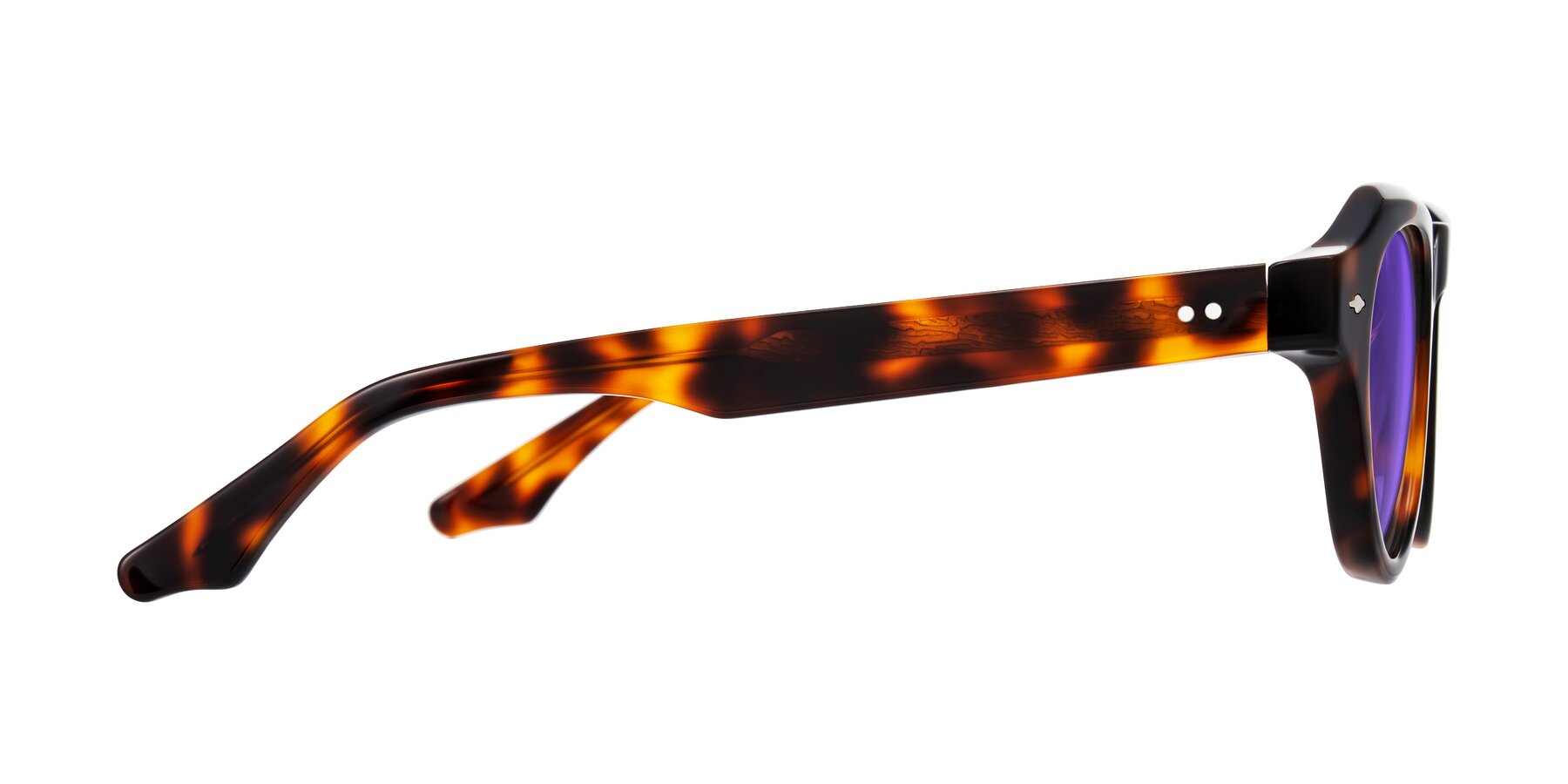 Side of Ascend in Tortoise with Purple Tinted Lenses