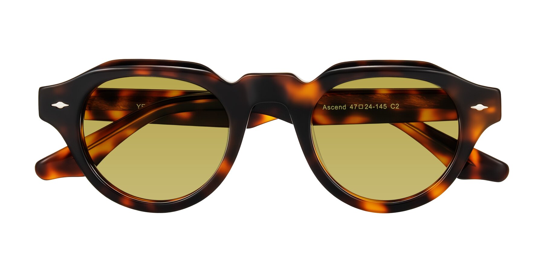Folded Front of Ascend in Tortoise with Champagne Tinted Lenses