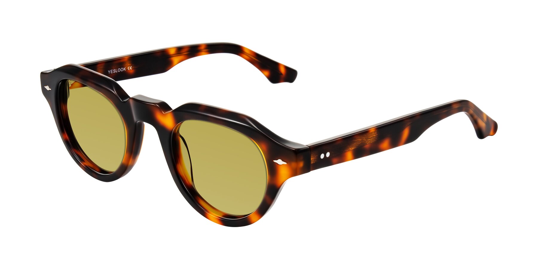 Angle of Ascend in Tortoise with Champagne Tinted Lenses
