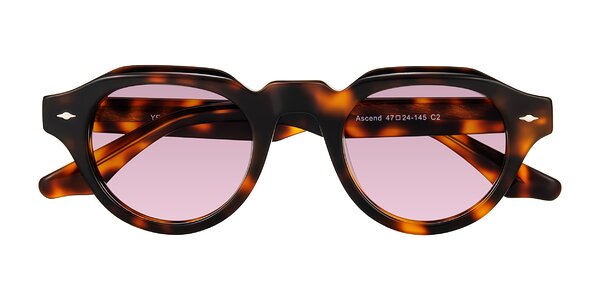 Front of Ascend in Tortoise