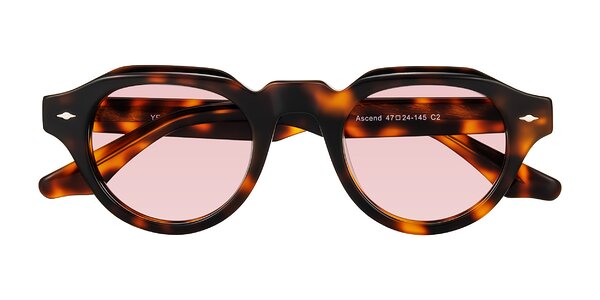 Front of Ascend in Tortoise