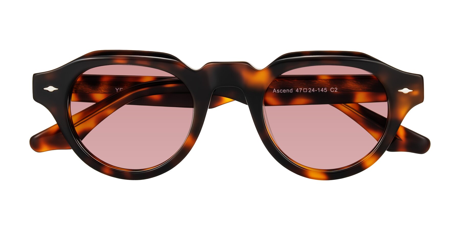Folded Front of Ascend in Tortoise with Medium Garnet Tinted Lenses