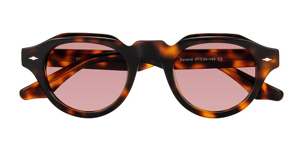 Front of Ascend in Tortoise