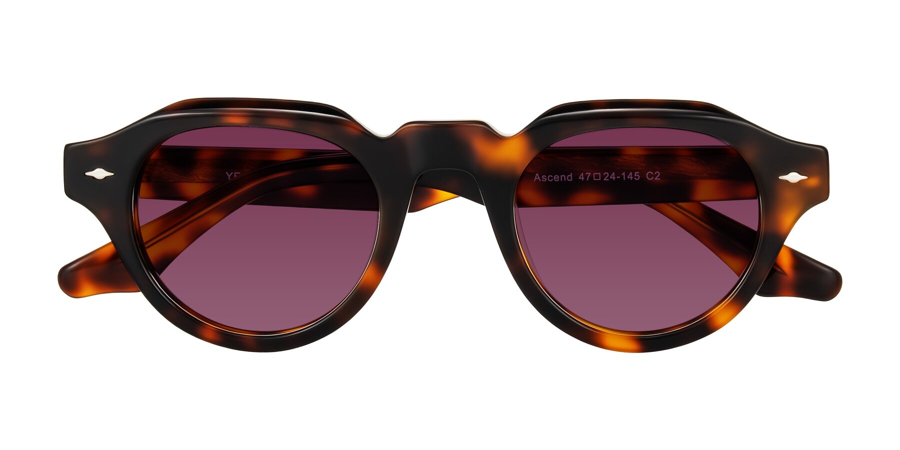 Folded Front of Ascend in Tortoise with Wine Tinted Lenses