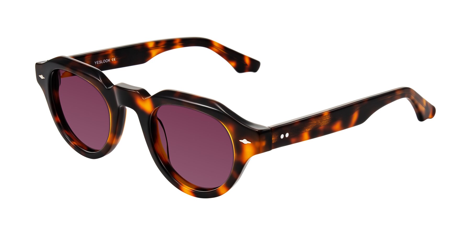 Angle of Ascend in Tortoise with Wine Tinted Lenses