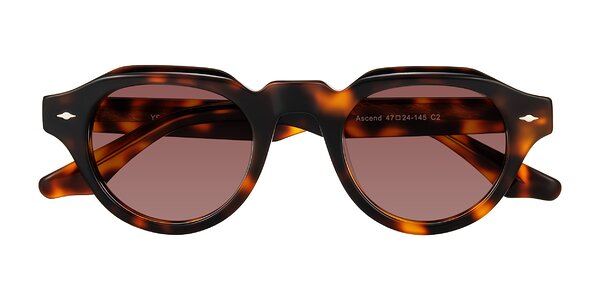 Front of Ascend in Tortoise