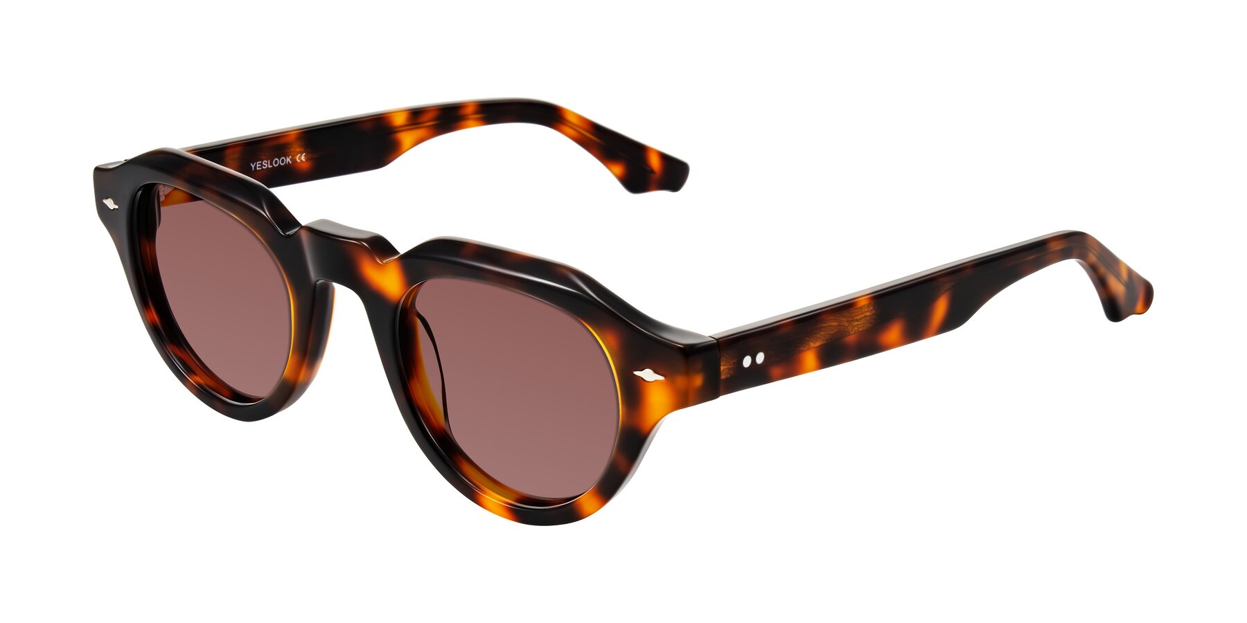 Angle of Ascend in Tortoise with Garnet Tinted Lenses