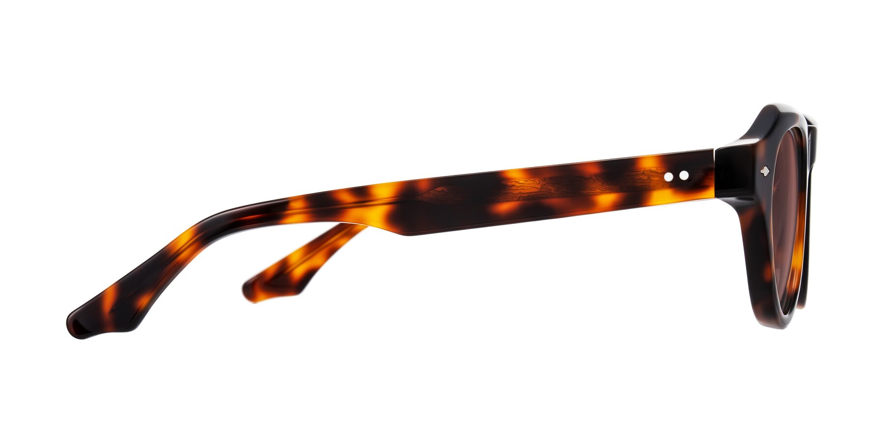 Side of Ascend in Tortoise with Garnet Tinted Lenses