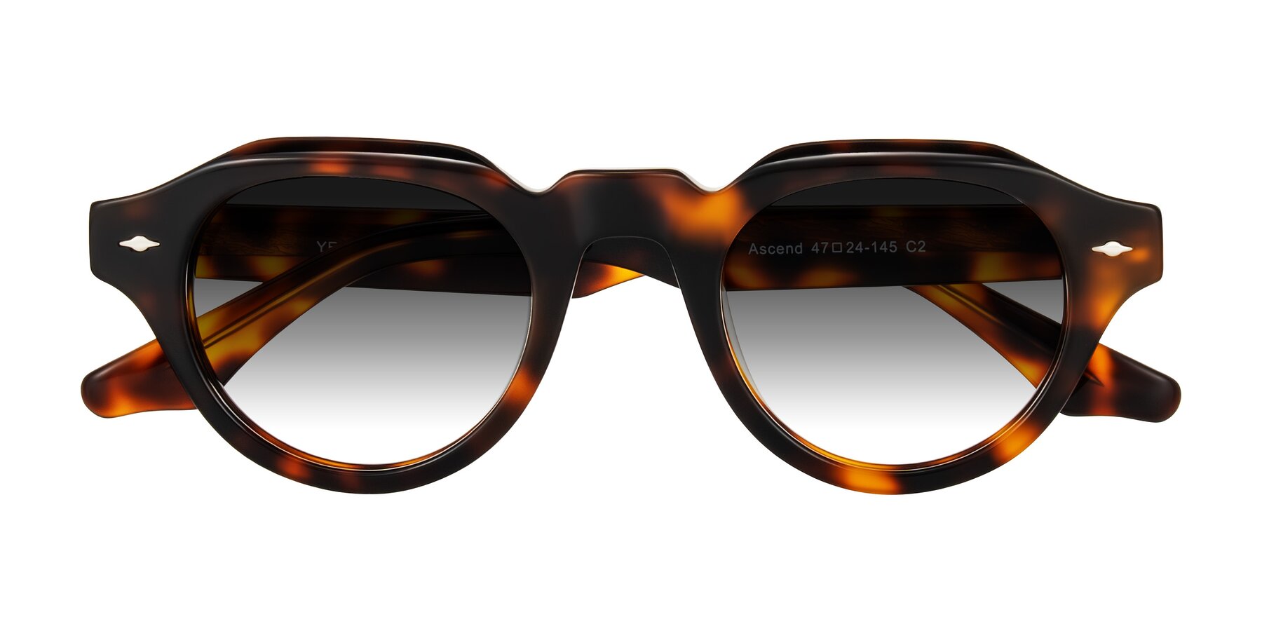 Folded Front of Ascend in Tortoise with Gray Gradient Lenses
