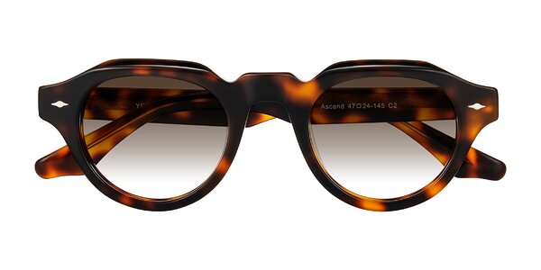 Front of Ascend in Tortoise