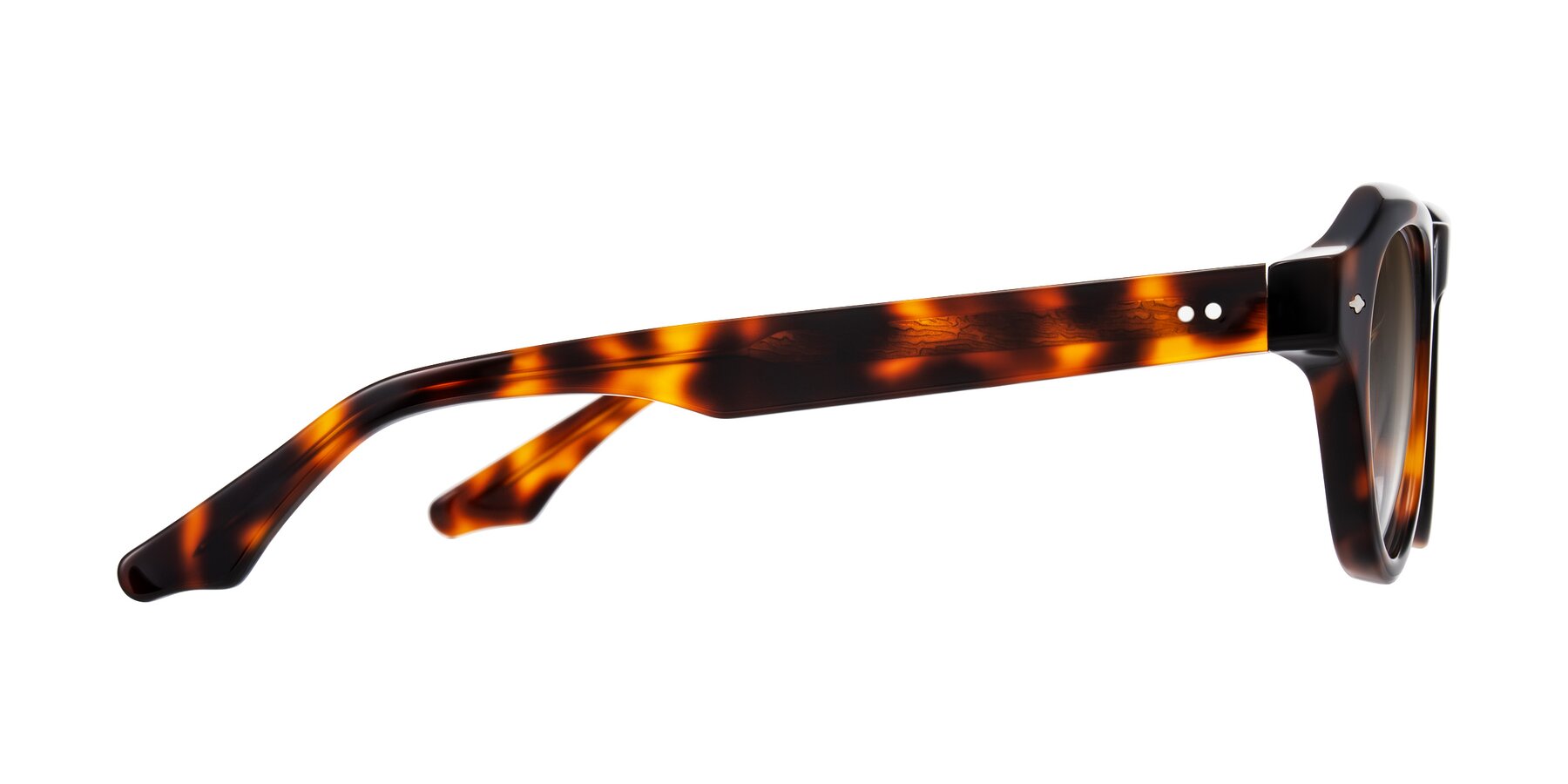 Side of Ascend in Tortoise with Brown Gradient Lenses