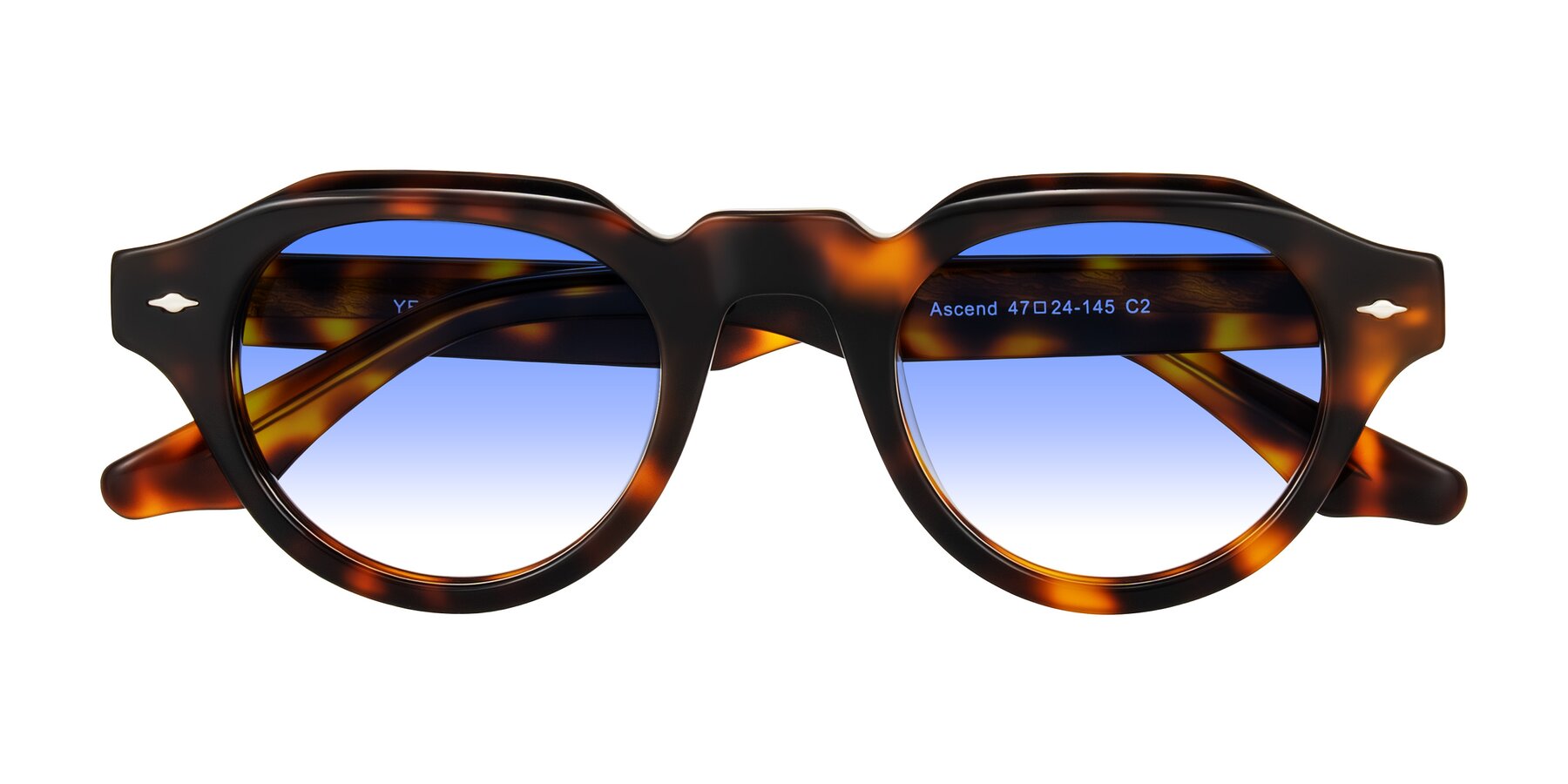Folded Front of Ascend in Tortoise with Blue Gradient Lenses