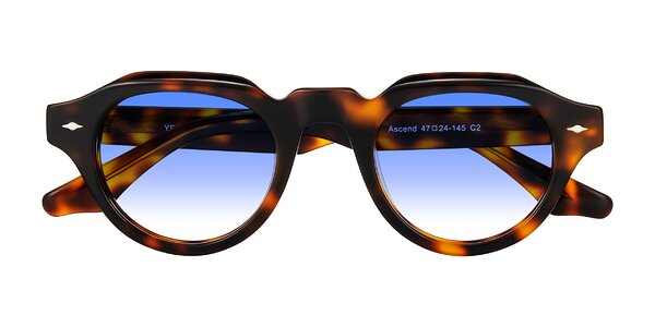 Front of Ascend in Tortoise