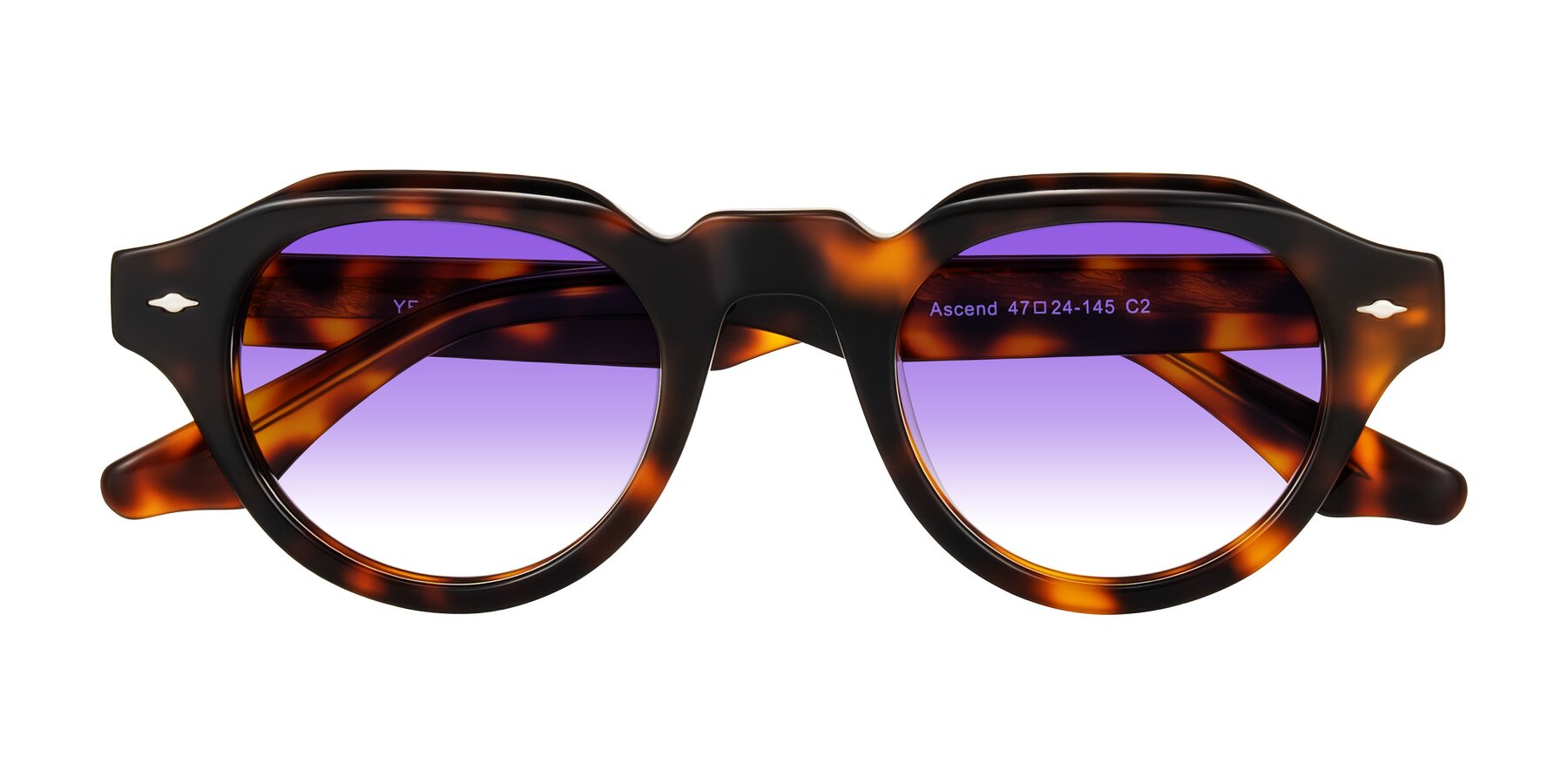 Folded Front of Ascend in Tortoise with Purple Gradient Lenses