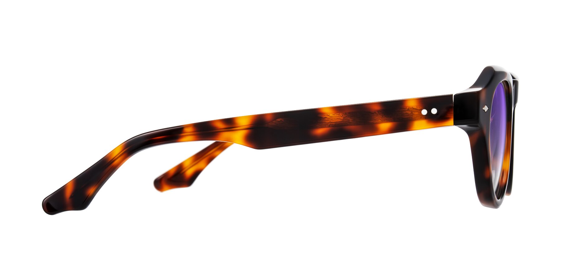 Side of Ascend in Tortoise with Purple Gradient Lenses