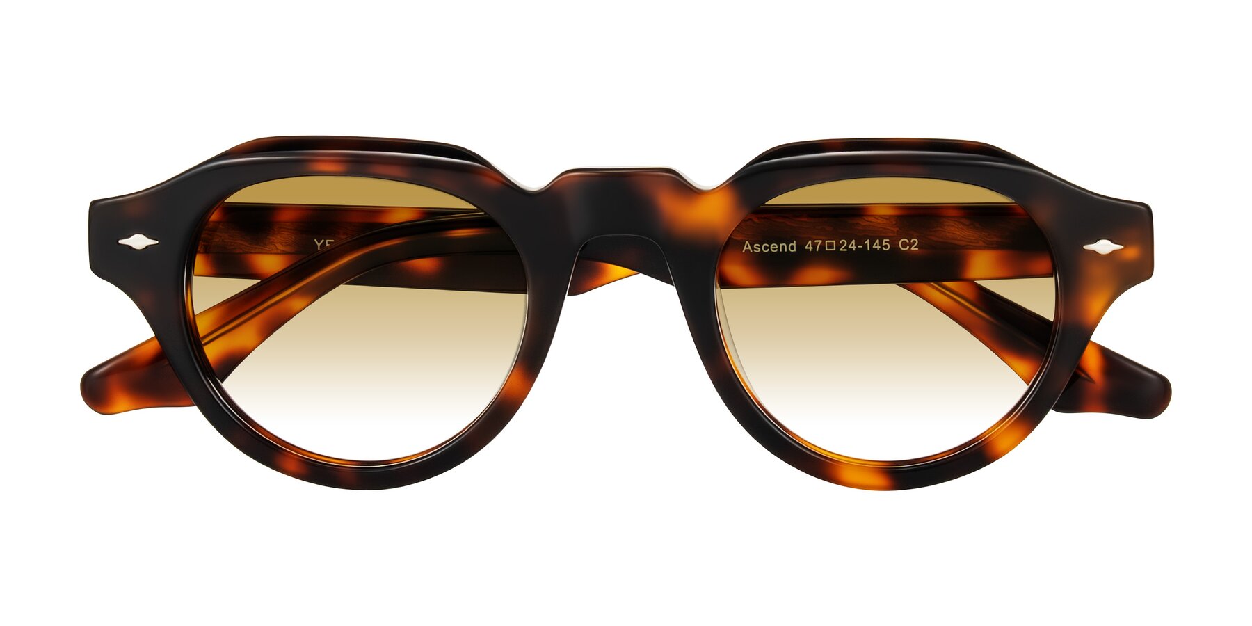 Folded Front of Ascend in Tortoise with Champagne Gradient Lenses