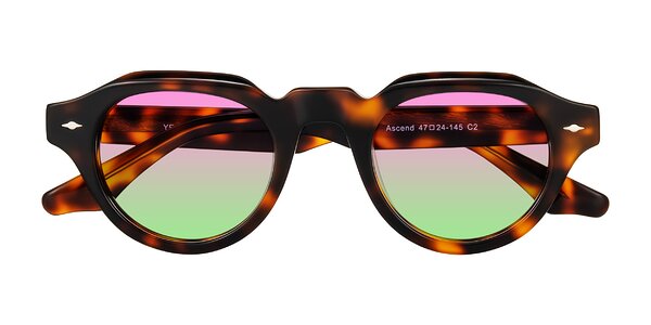 Front of Ascend in Tortoise