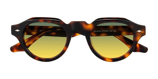 Front of Ascend in Tortoise