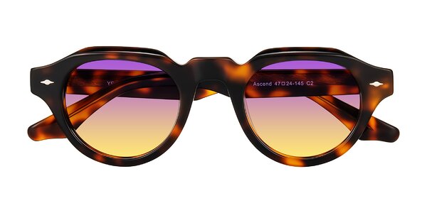 Front of Ascend in Tortoise