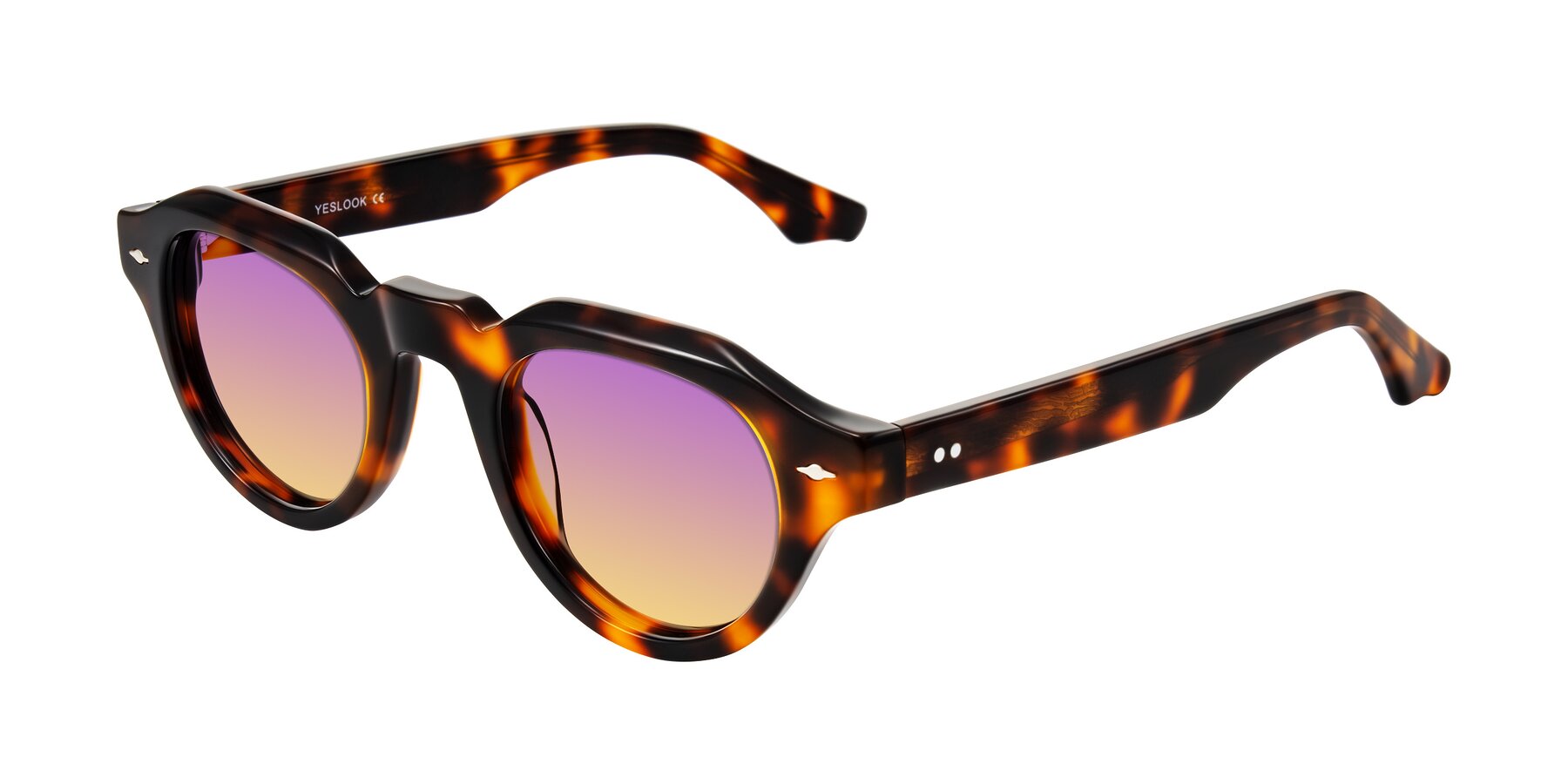 Angle of Ascend in Tortoise with Purple / Yellow Gradient Lenses