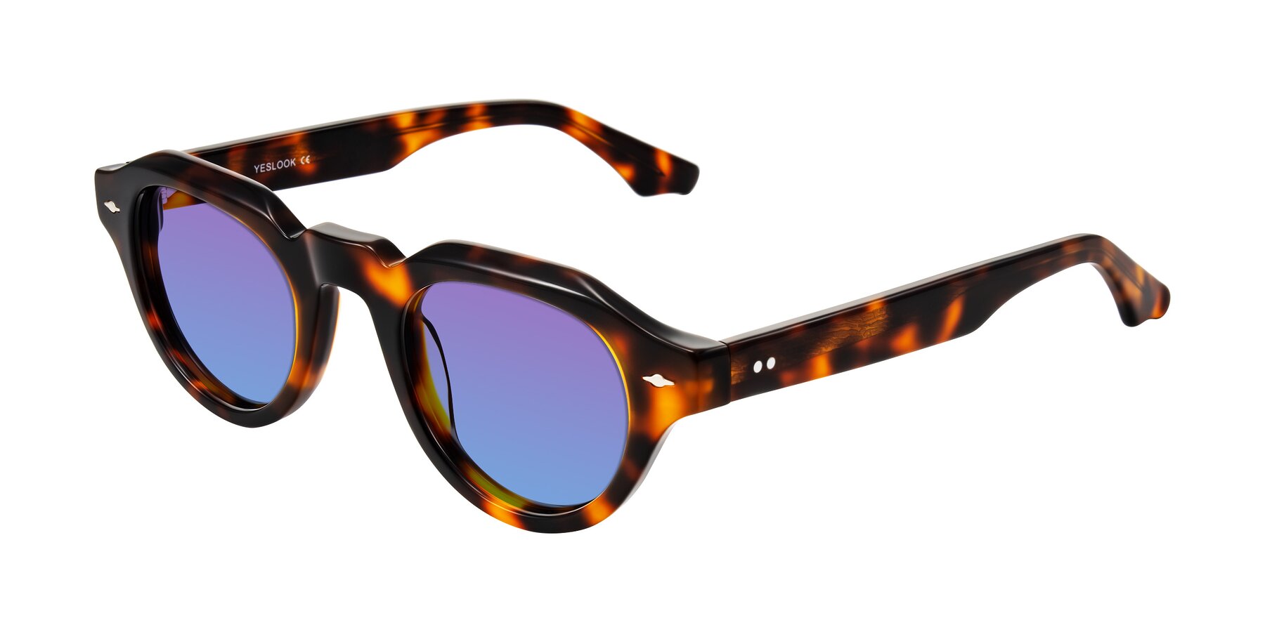 Angle of Ascend in Tortoise with Purple / Blue Gradient Lenses