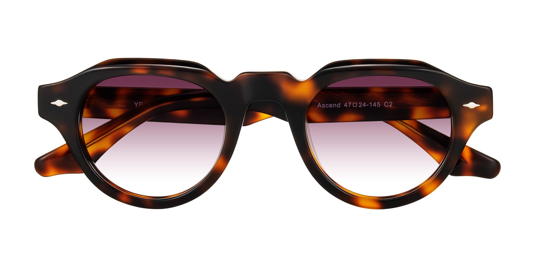 Folded Front of Ascend in Tortoise with Wine Gradient Lenses