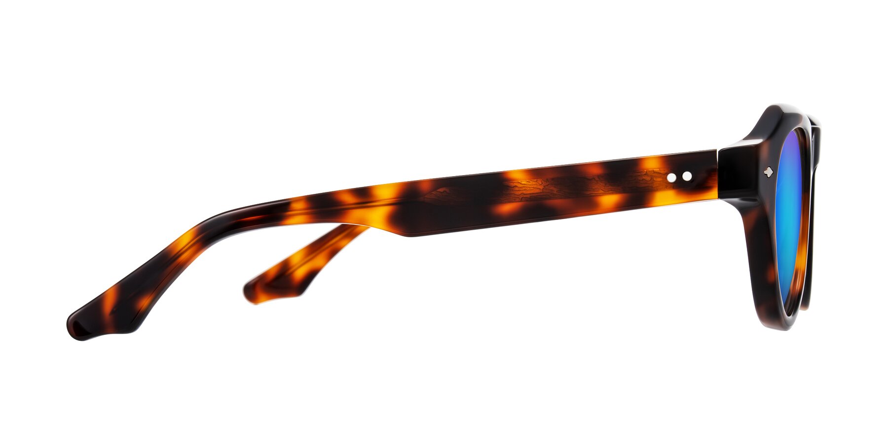 Side of Ascend in Tortoise with Blue Mirrored Lenses