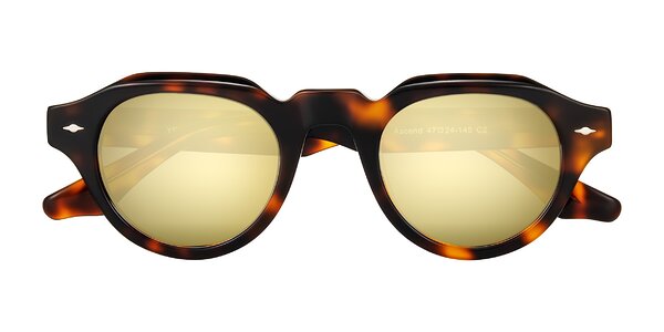 Front of Ascend in Tortoise
