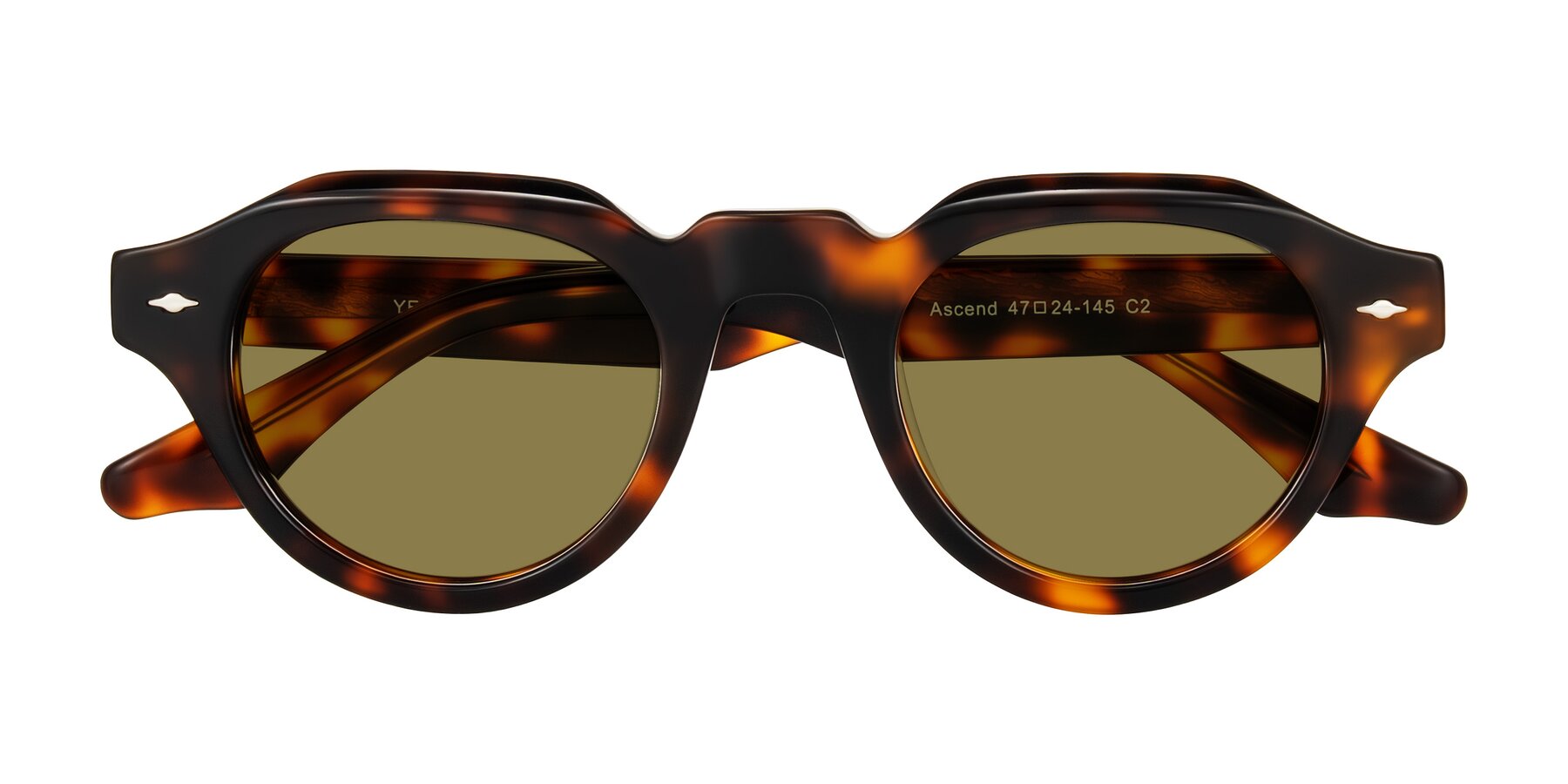 Folded Front of Ascend in Tortoise with Brown Polarized Lenses