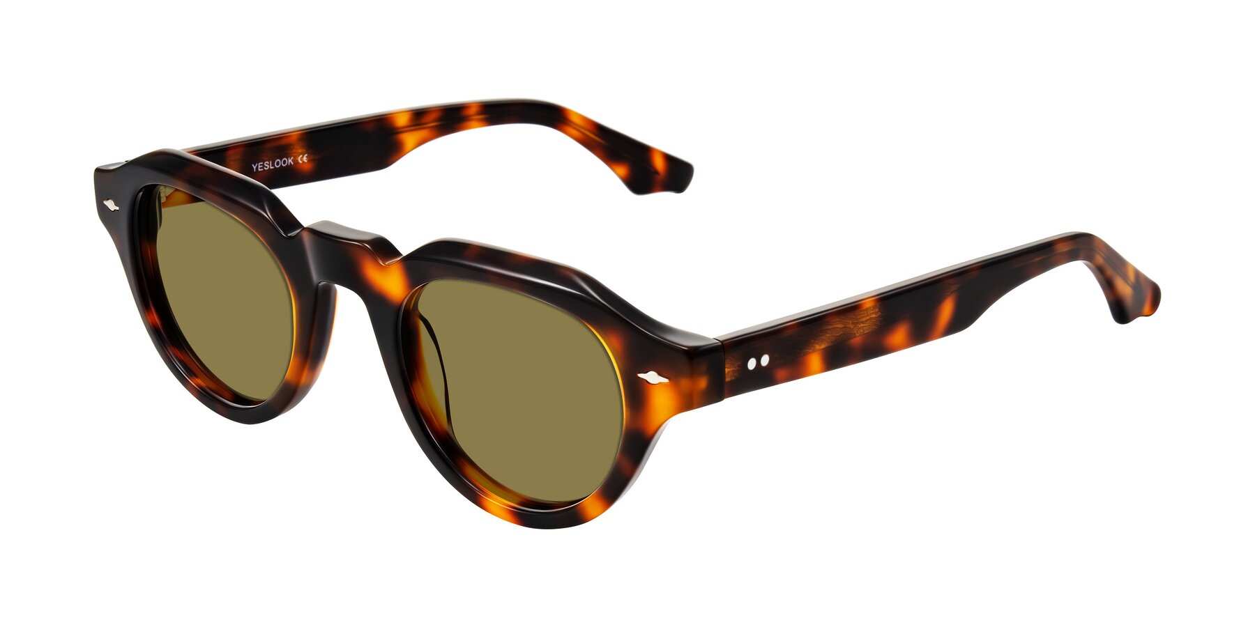 Angle of Ascend in Tortoise with Brown Polarized Lenses
