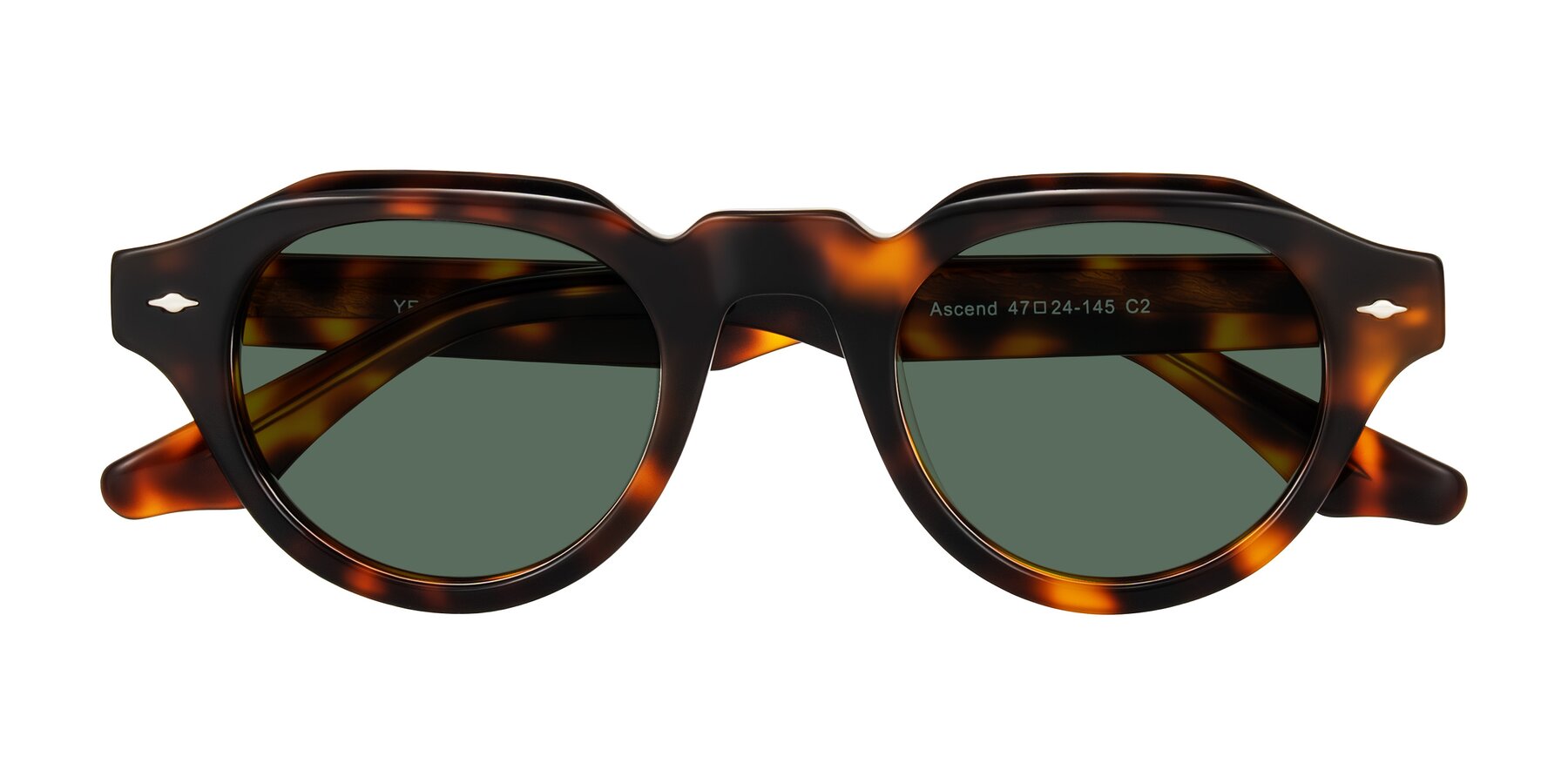 Folded Front of Ascend in Tortoise with Green Polarized Lenses