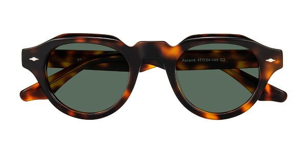 Front of Ascend in Tortoise